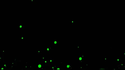 Green Lights 库存影片 145945003