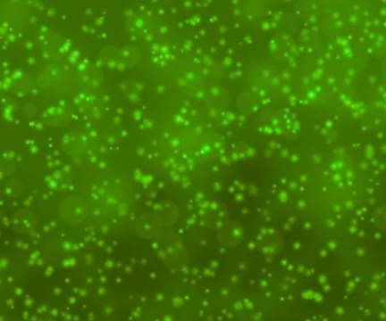 Green lights texture Ilustração Stock