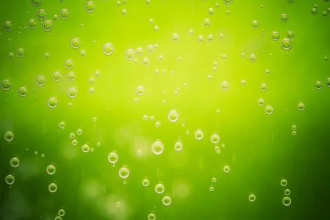 Green lime background with bubbles Stock Photos