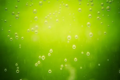 Green lime background with bubbles 写真素材