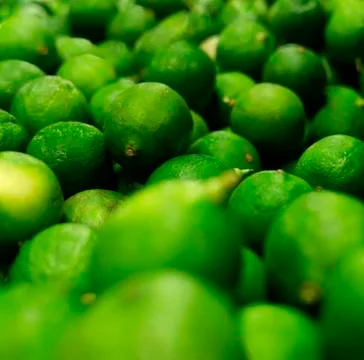 Green lime background. Foto stock