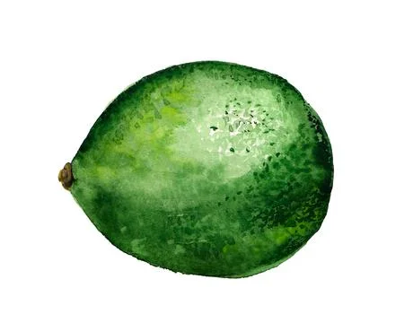 Green lime Stock Illustration