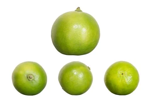 Green lime isolated on white background Stock Photos
