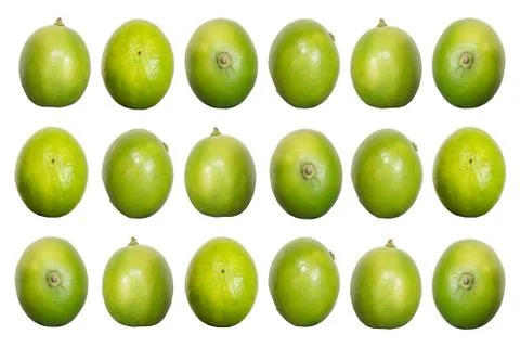 Green lime isolated on white background Foto stock