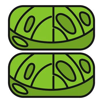 Green lime slices icon representing fresh fruit and health Stock Illustration