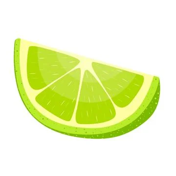 Green lime with slices on white background. Vector graphic design elements. hand Stock Illustration