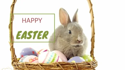 Green line appearing, greeting box sliding and fading, revealing rabbit in Stock Footage 328224125