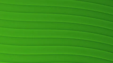 Green line background abstract linear gradient, plain wavy abstract gradient Stock Footage 297373398