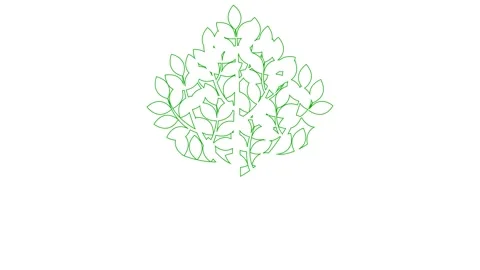 Green line tree white Stock Footage 265432730