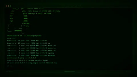 Green Linux Terminal Bash Command Line Typing Animation. Stock Footage 347334621
