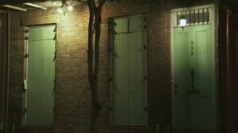 Green, Lion Knocker Door Element / Location / Exterior - 04 Stock Footage 652654