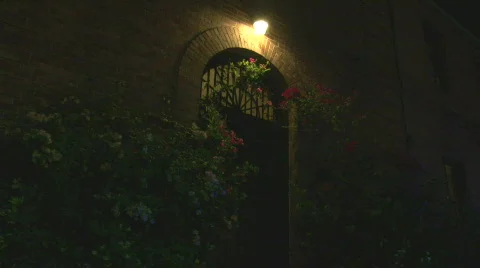 Green, Lion Knocker Door Element / Location / Exterior - 05 Stock Footage 652657