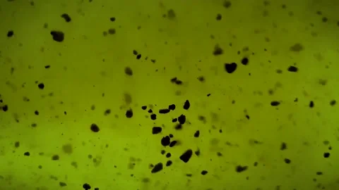 Green liquid with black particles. Stock Footage 196482825