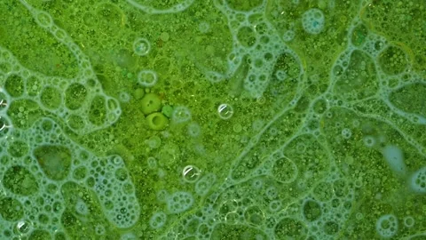 Green Liquid with Bubbles and Foamy Surface Stock Footage 314834477