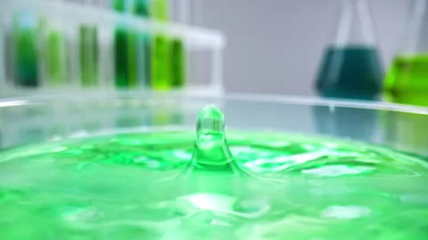 Green liquid drop splash in petri dish in laboratory Stock Footage 311461267