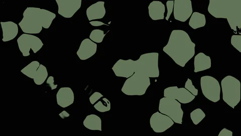 Green Liquid Fluids Motion Wavy Gradient Abstract Background Stock Footage 128995751