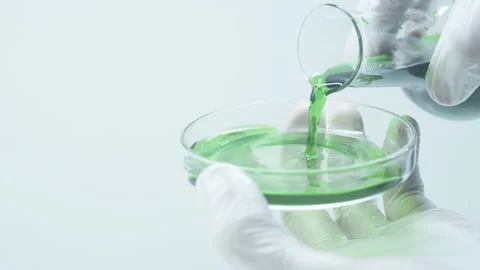Green liquid in a laboratory flask and petri dish. Stock Footage 242804742