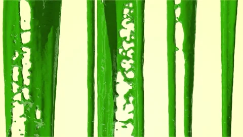 Green liquid paint flows unevenly from top to bottom Stock Footage 238802297