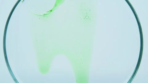 Green liquid in the petri dish. Stock Footage 242753382