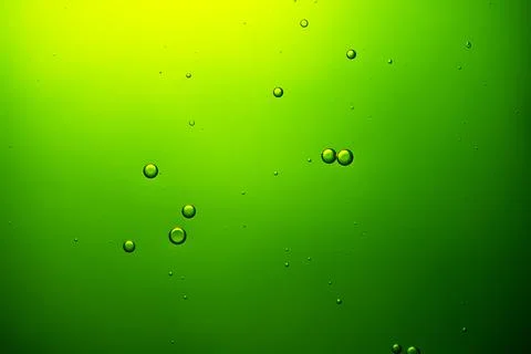 Green liquid with rising bubbles creating abstract background Stock Photos