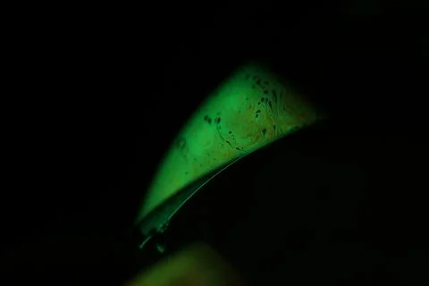 Green liquid surface, phenomenal macro abstraction Stock Photos