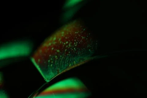 Green liquid surface, phenomenal structure, bright film Stock Photos