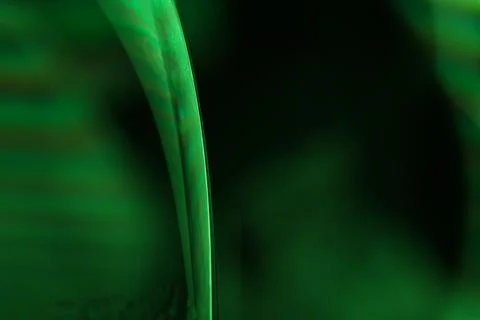 Green liquid surface, phenomenal structure, macro abstraction Stock Photos