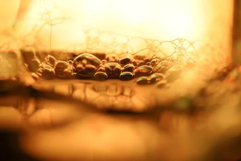 Green liquid surface, science abstraction Foto stock