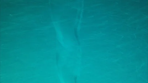 Green liquid vortex twister Stock Footage 111400695