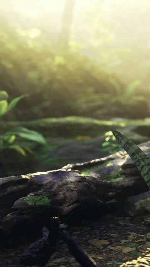 Green lizard crawls on log in forest during morning light in nature Stock Footage 331663394