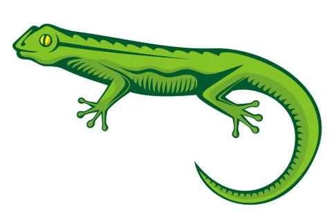 Green Lizard Stock Illustration