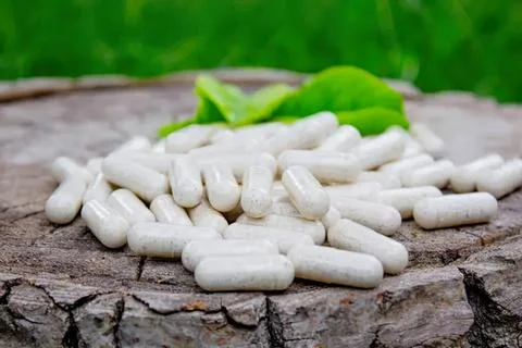Green lizard on a tree stump with white pills around Stock Photos