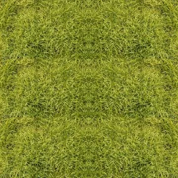 Green long grass surface Stock Illustration