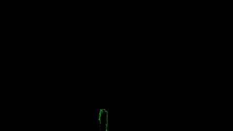 Green Luminescent Leaf on Black Background 库存影片 131332385