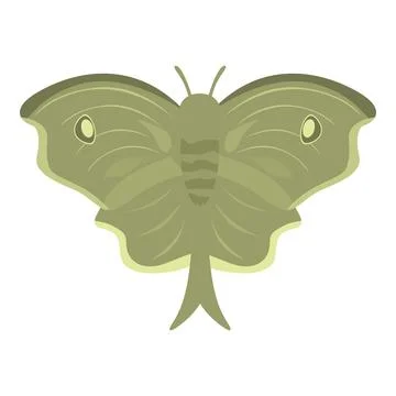 Green luna moth spreading its wings on white background Stock Illustration