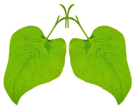 Green lungs Stock Photos