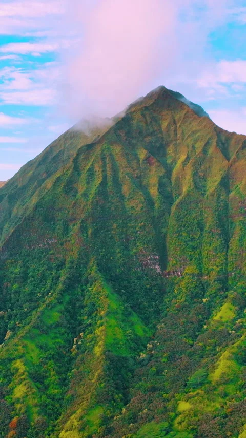 Green lush grass and trees on meadows and mountains in Hawaii. Aerial view Stock Footage 306881360