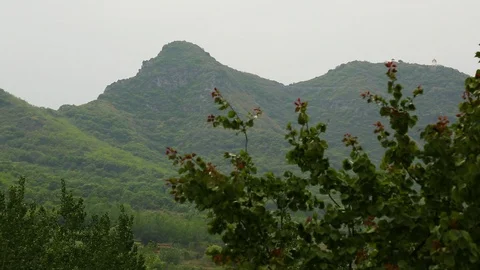 Green lush mountain ranges Stock Footage 88677715