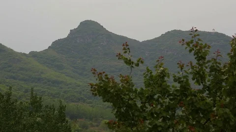 Green lush mountain ranges Stock-Footage 89761979