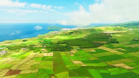 Green Lush Patchwork Fields Sunny Day. Terceira Island, Azores Stock Footage 346499707