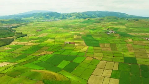 Green Lush Patchwork Fields. Terceira Island, Azores Stock Footage 346305484