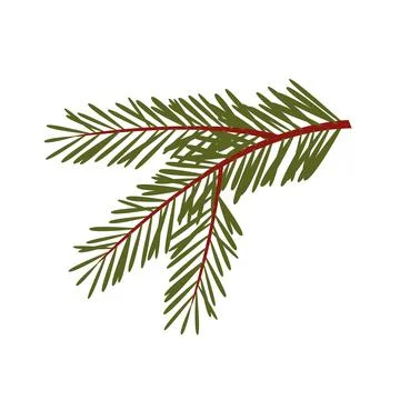 Green lush spruce or pine branch. Fir tree branch isolated on white Stock Illustration