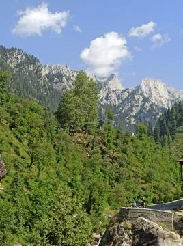 Green Lush Trees Background High Mountain Stock Photos