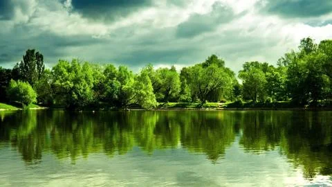 Green Lushful Forest with the Big Calm and Serene Lake Stock Photos
