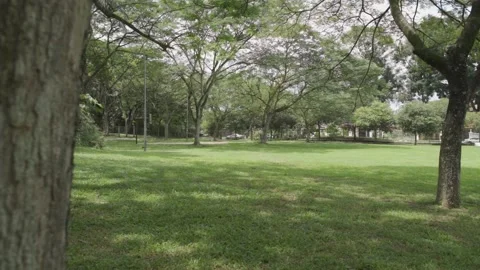 Green Lust Field Video stock 158413430