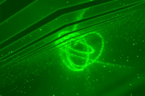 Green Machine Stock Footage 335153