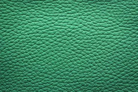 Green Macro Leather Background Texture Stock Photos