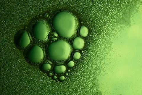 Green macro soap bubbles floating on liquid surface Stock Photos