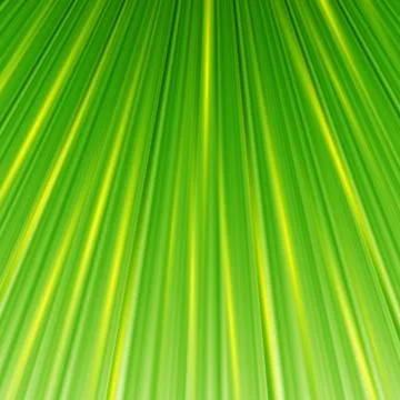 Green magic abstract background Stock Illustration