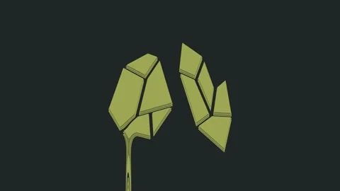 Green Magic stone icon isolated on black background. Fantasy crystal. Jewelry Video stock 235527466